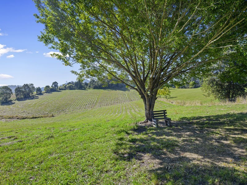 56 Mitchells Road, Valla NSW 2448