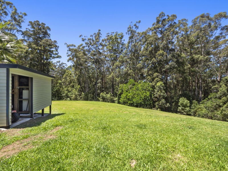 58 Joeliza Drive, Repton NSW 2454