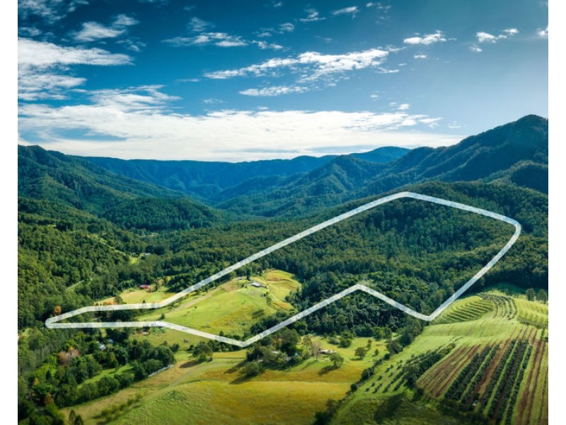 758 Summervilles Road, Bellingen NSW 2454