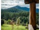 758 Summervilles Road, Bellingen NSW 2454