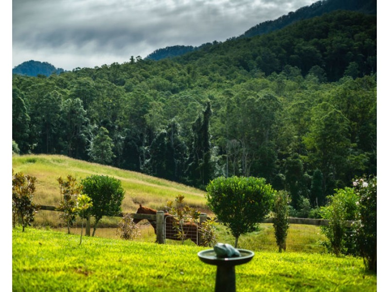 758 Summervilles Road, Bellingen NSW 2454
