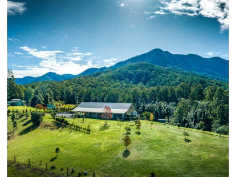 758 Summervilles Road, Bellingen NSW 2454