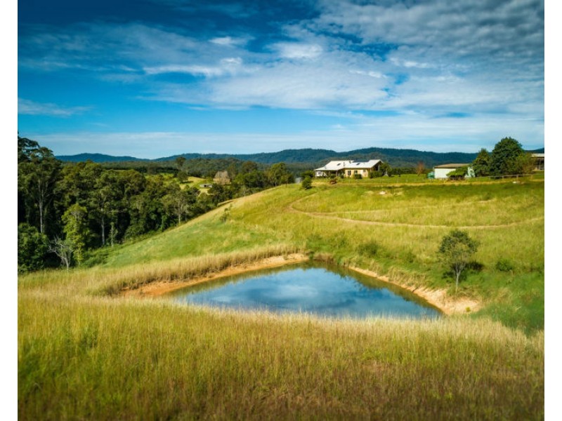 758 Summervilles Road, Bellingen NSW 2454