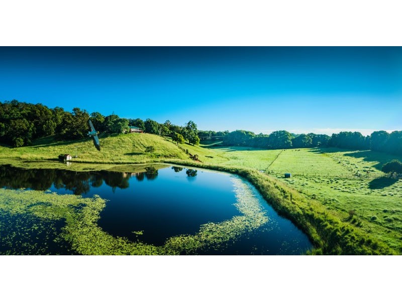 786 North Bank Road, Bellingen NSW 2454