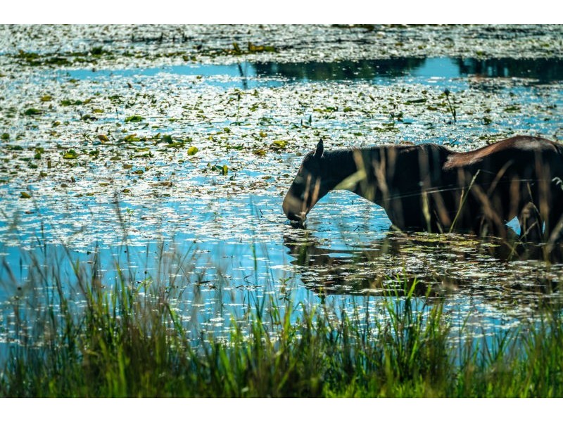 786 North Bank Road, Bellingen NSW 2454