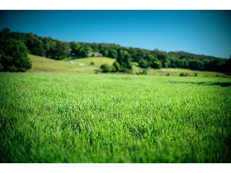 786 North Bank Road, Bellingen NSW 2454