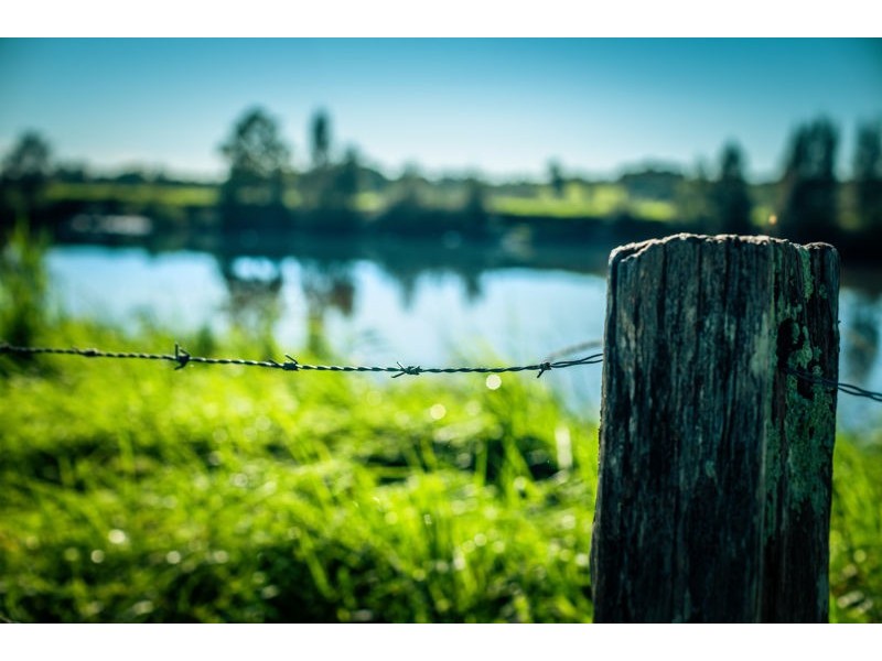 786 North Bank Road, Bellingen NSW 2454