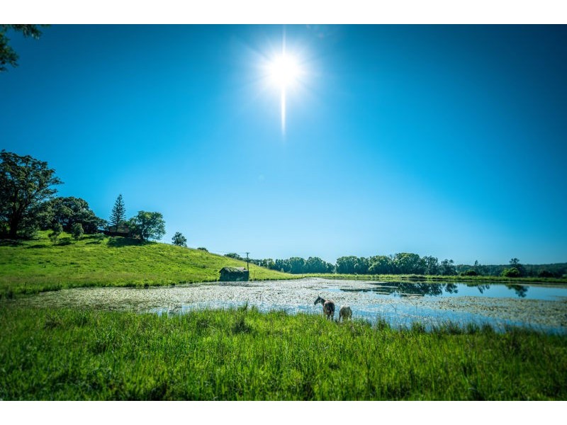 786 North Bank Road, Bellingen NSW 2454