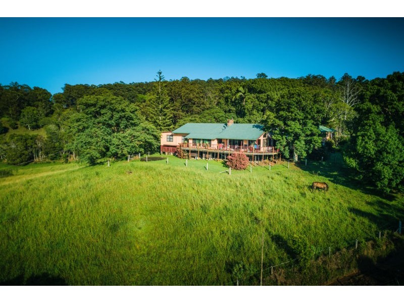 786 North Bank Road, Bellingen NSW 2454