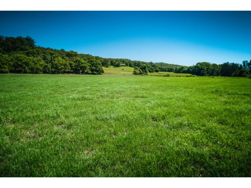 786 North Bank Road, Bellingen NSW 2454