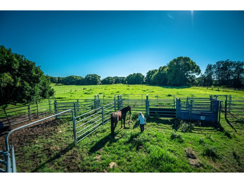 786 North Bank Road, Bellingen NSW 2454
