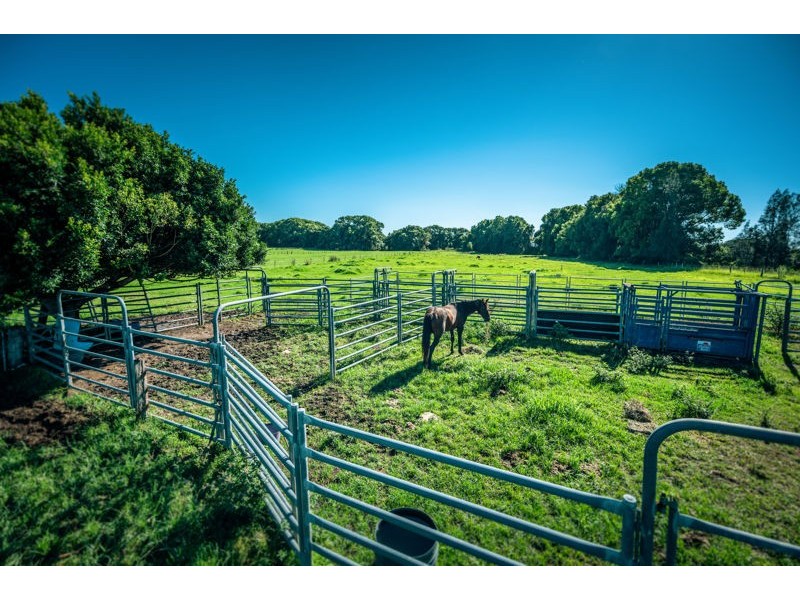 786 North Bank Road, Bellingen NSW 2454