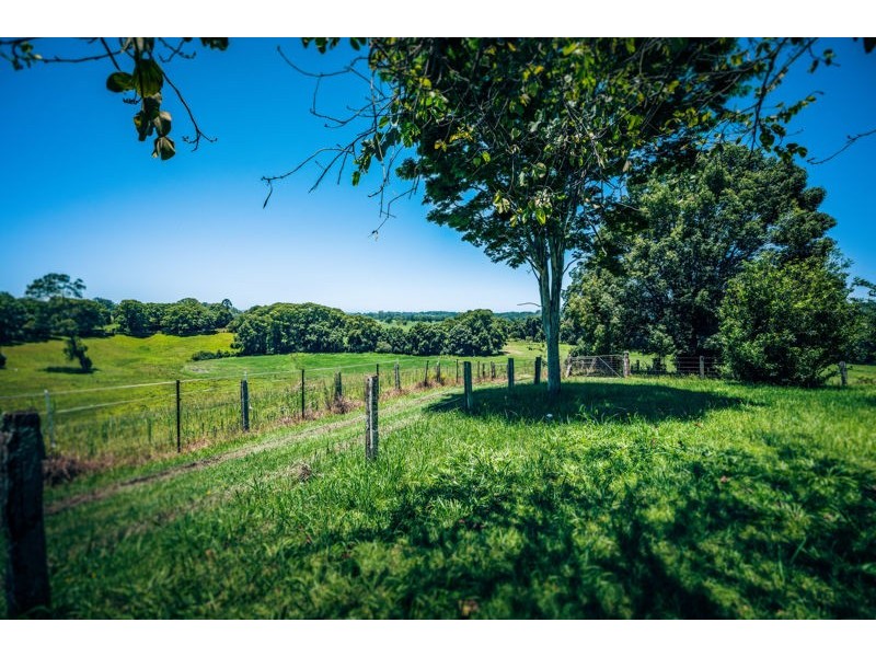786 North Bank Road, Bellingen NSW 2454