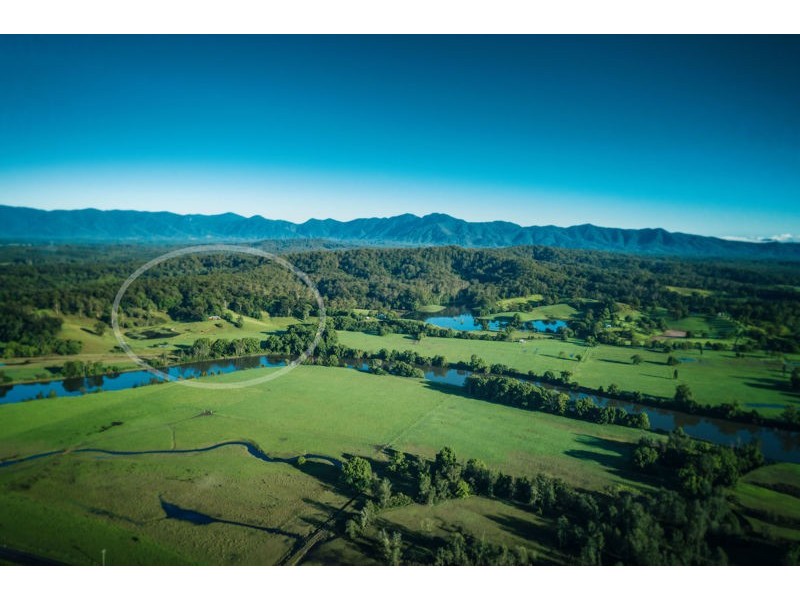 786 North Bank Road, Bellingen NSW 2454