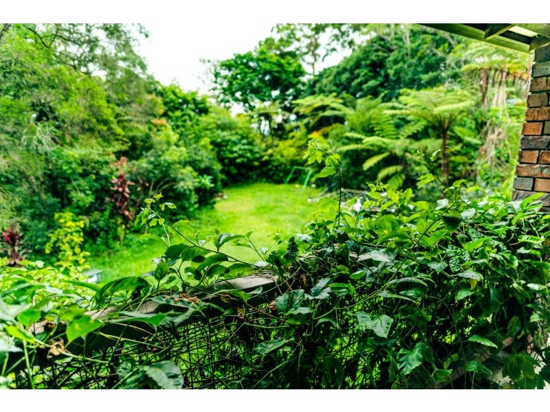 14 Hyde Street Fernmount, Bellingen NSW 2454