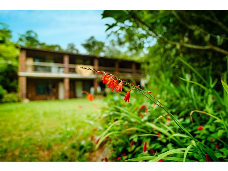 14 Hyde Street Fernmount, Bellingen NSW 2454