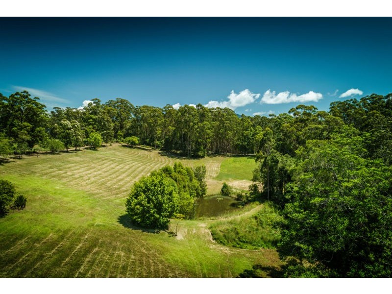 17 Briggenshaws Road Valery, Bellingen NSW 2454