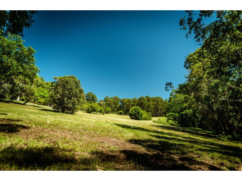 17 Briggenshaws Road Valery, Bellingen NSW 2454