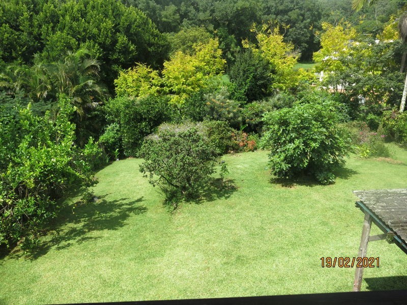 23 Crown Street, Bellingen NSW 2454