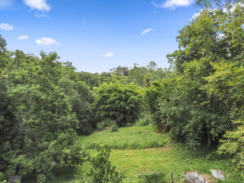 140 Kalang Road, Bellingen NSW 2454