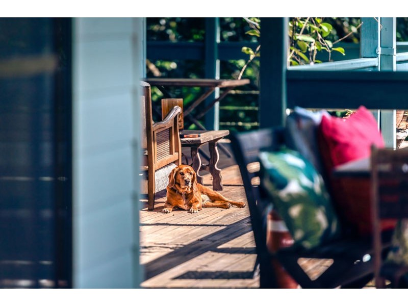 161 Mount Street, Bellingen NSW 2454