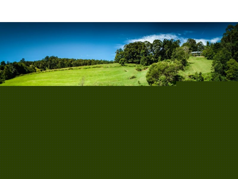 161 Mount Street, Bellingen NSW 2454