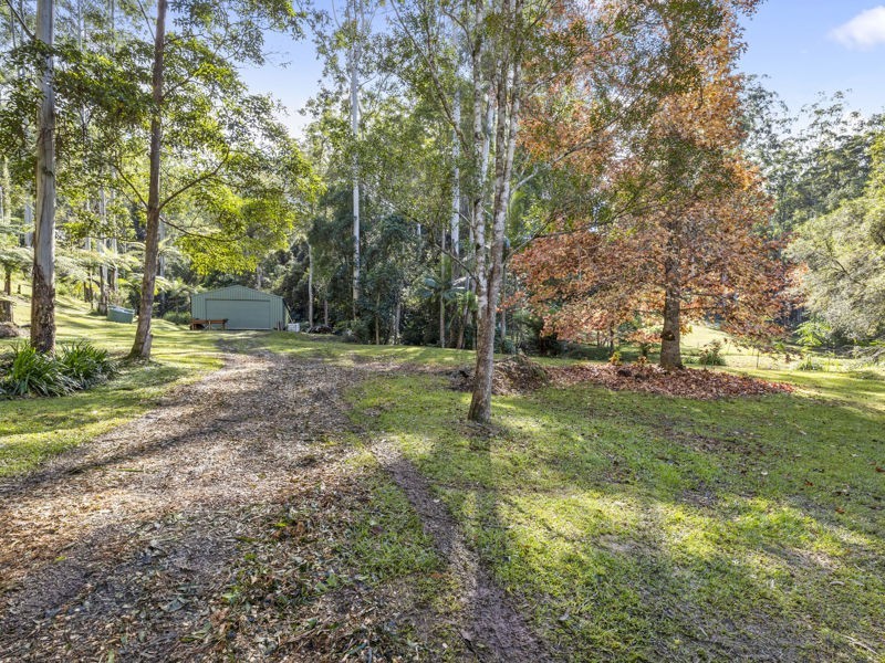 774 Kalang Road, Bellingen NSW 2454