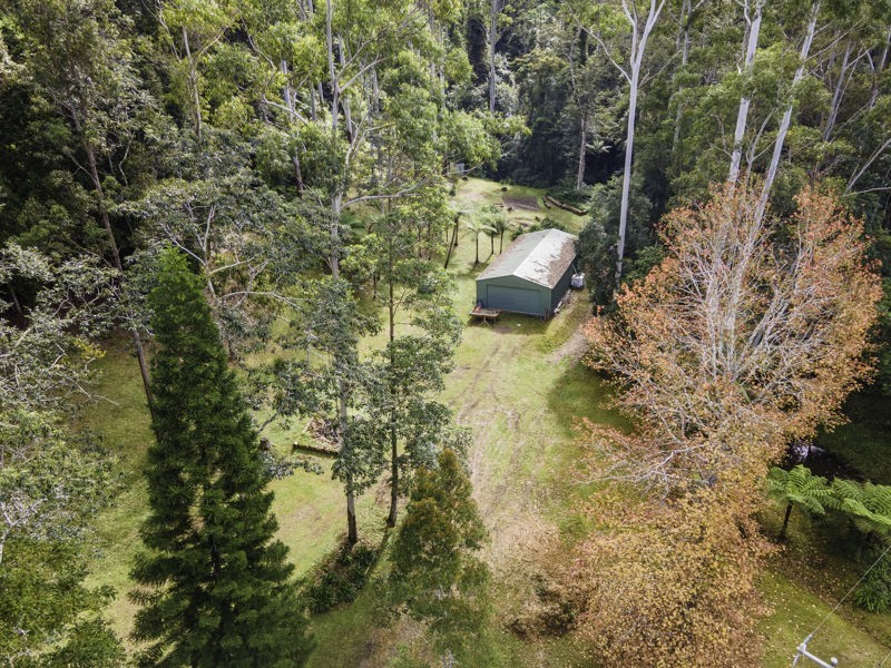 774 Kalang Road, Bellingen NSW 2454
