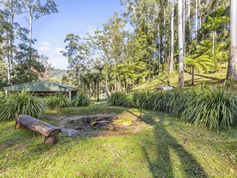 774 Kalang Road, Bellingen NSW 2454