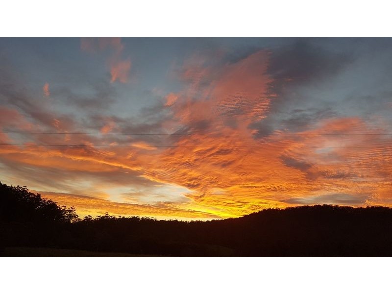 774 Kalang Road, Bellingen NSW 2454