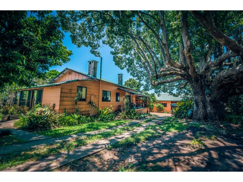 786 North Bank Road, Bellingen NSW 2454
