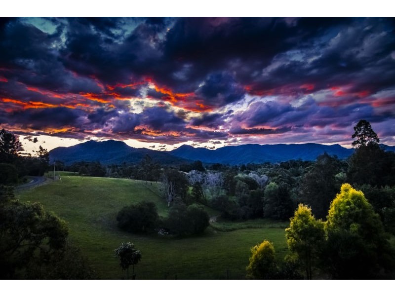 370 Roses Road, Bellingen NSW 2454