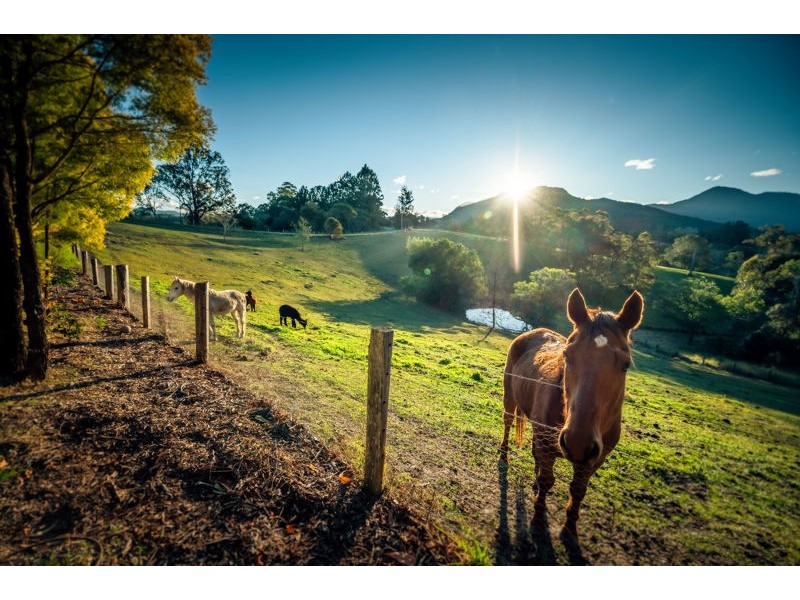 370 Roses Road, Bellingen NSW 2454