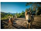 370 Roses Road, Bellingen NSW 2454