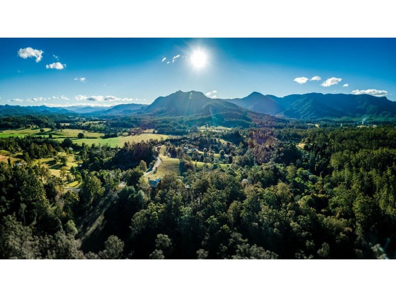 370 Roses Road, Bellingen NSW 2454