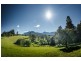 370 Roses Road, Bellingen NSW 2454