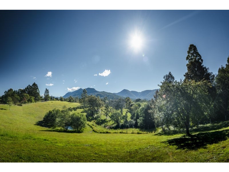 370 Roses Road, Bellingen NSW 2454
