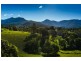 370 Roses Road, Bellingen NSW 2454