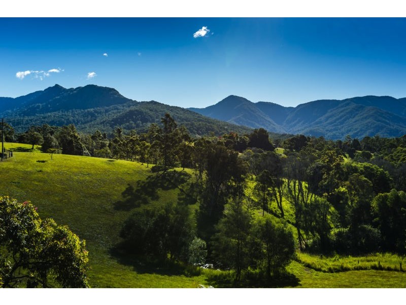 370 Roses Road, Bellingen NSW 2454