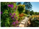 34 McDougall Place, Fernmount, Bellingen NSW 2454