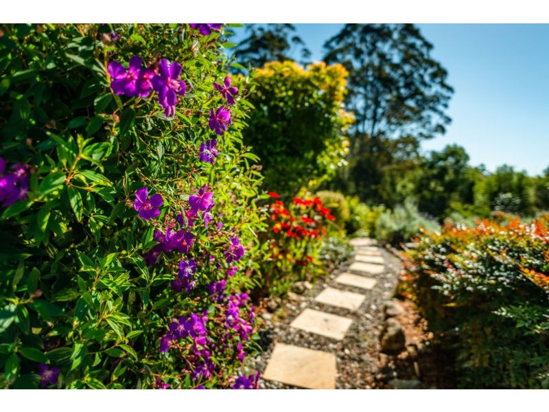 34 McDougall Place, Fernmount, Bellingen NSW 2454
