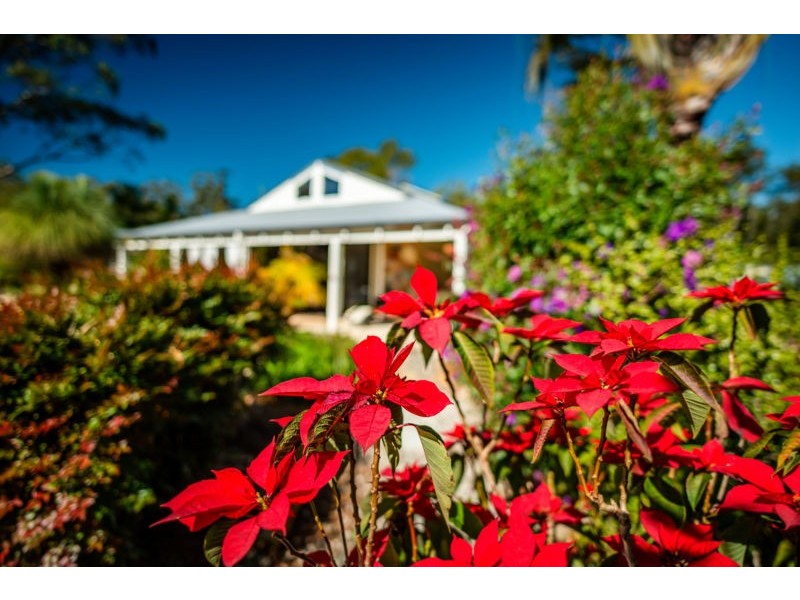 34 McDougall Place, Fernmount, Bellingen NSW 2454