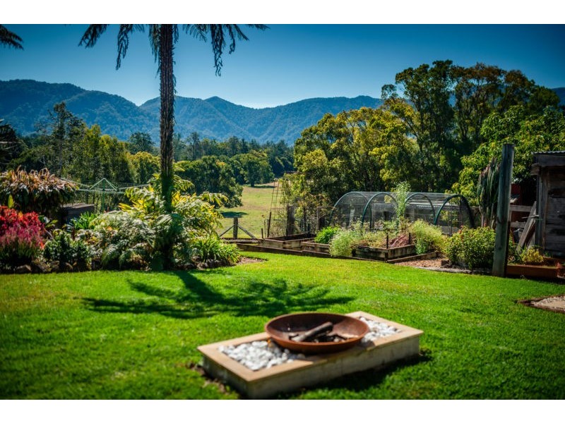 674 Timboon Road Gleniffer, Bellingen NSW 2454