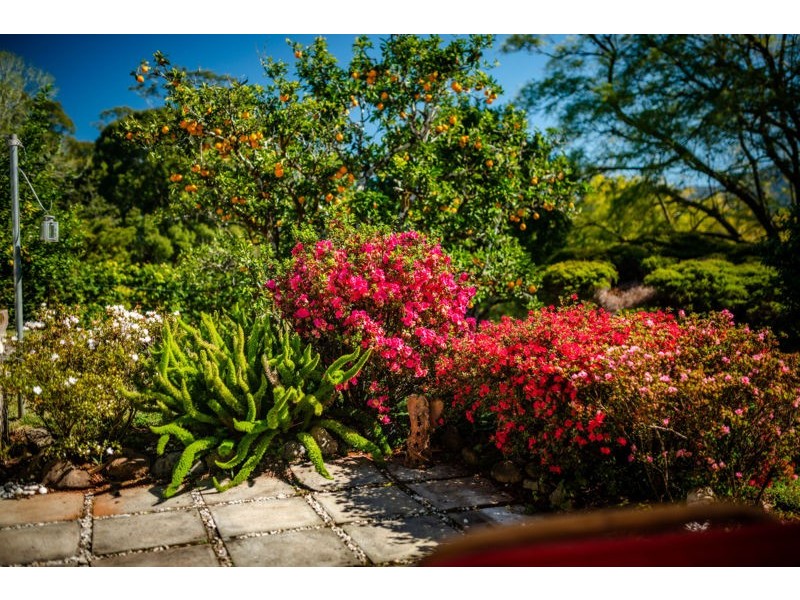 674 Timboon Road Gleniffer, Bellingen NSW 2454