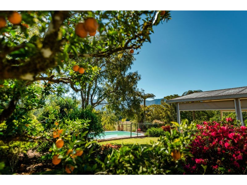 674 Timboon Road Gleniffer, Bellingen NSW 2454