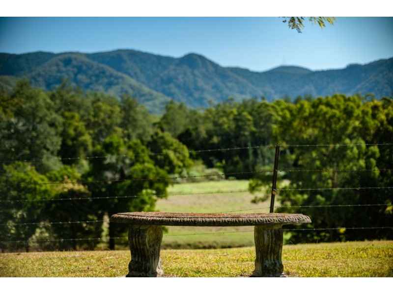 674 Timboon Road Gleniffer, Bellingen NSW 2454