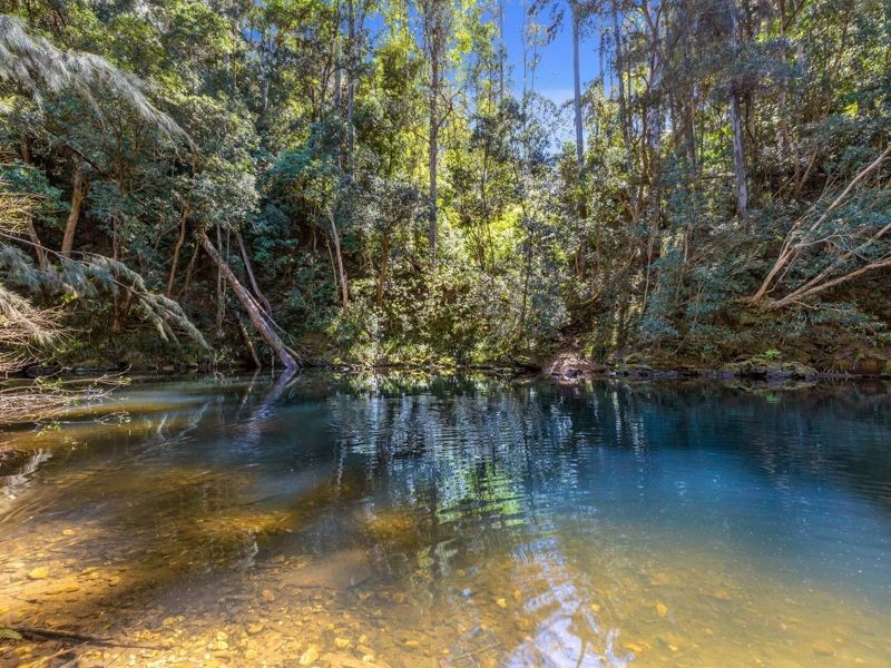 1058 Kalang Road Kalang, Bellingen NSW 2454