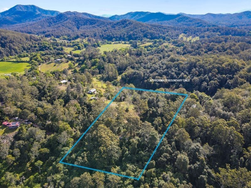 408 Bowraville Road, Brierfield NSW 2454