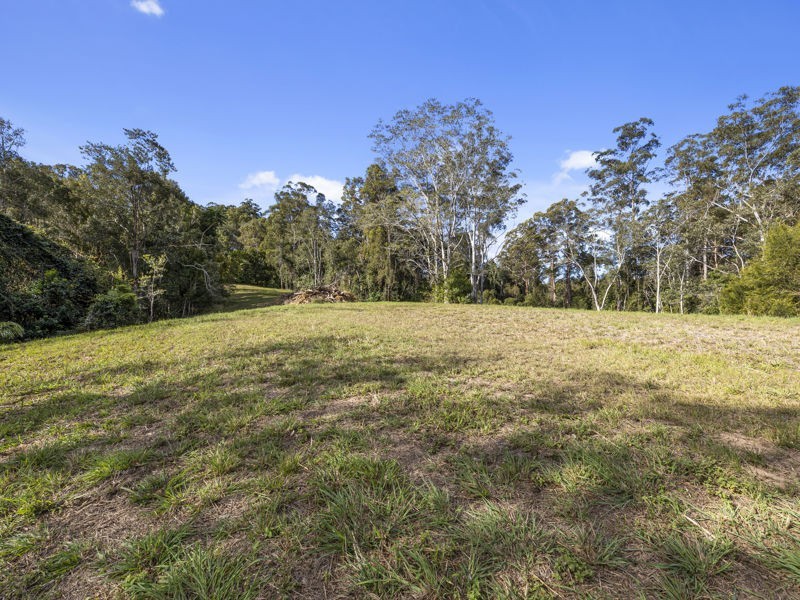 408 Bowraville Road, Brierfield NSW 2454