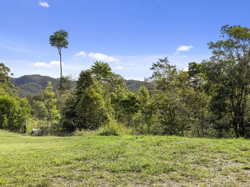 408 Bowraville Road, Brierfield NSW 2454